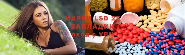 spice Богородск