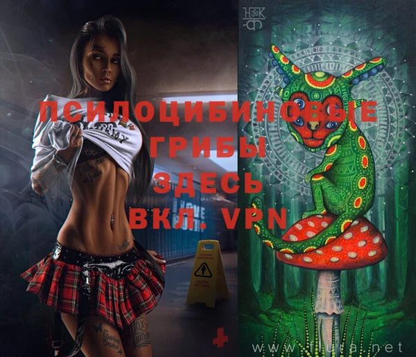мдпв Протвино