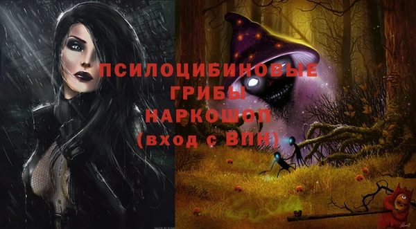стаф Белокуриха