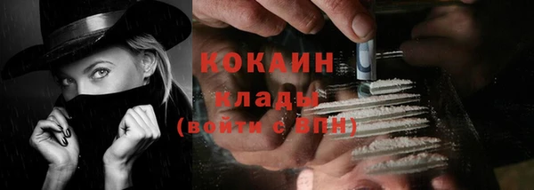 стаф Белокуриха