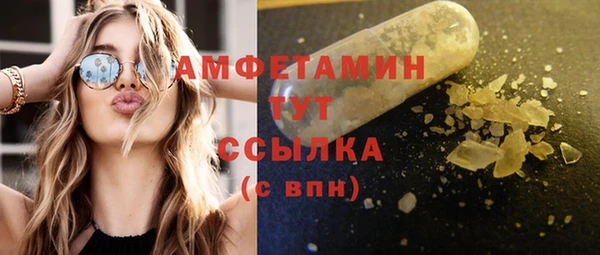 spice Богородск
