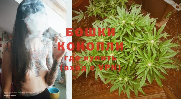 не бодяженный Богданович