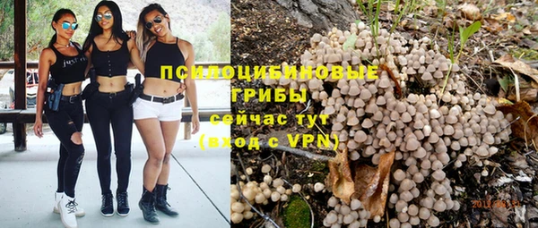 не бодяженный Богданович